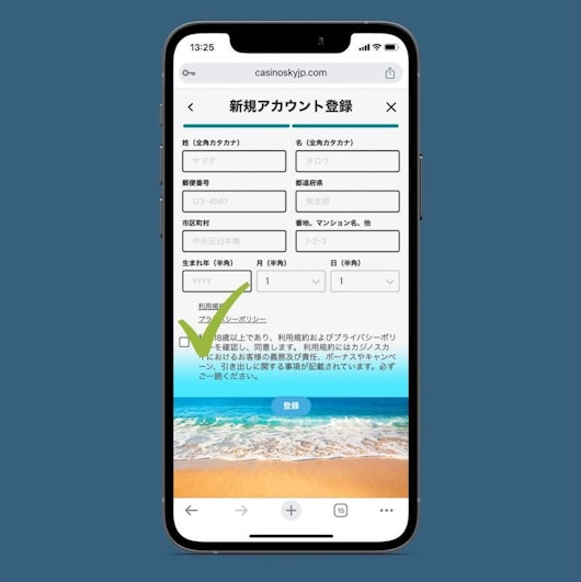 Casinosky registration step5