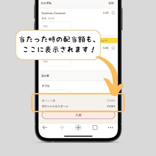 Rizinの賭け方ステップ5