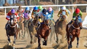 競馬にイギリスのブックメーカーを選ぶ理由