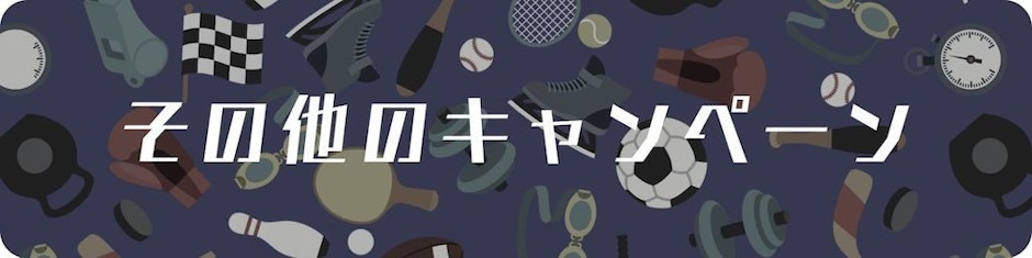 ブックメーカーは違法？安全？