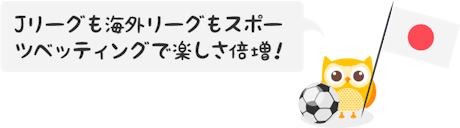 Owlie football betting jp