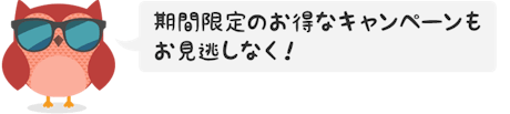 オウリーのプロモ jp